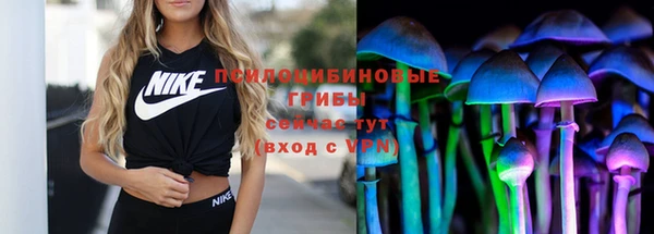 таблы Армянск