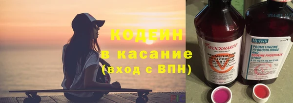 ешки Арсеньев