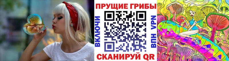 купить цена Бахчисарай Галлюциногенные грибы GOLDEN TEACHER